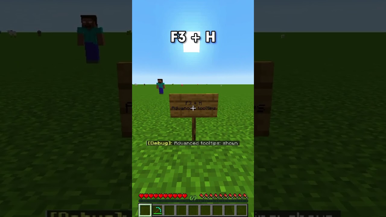 F3 commands in Minecraft