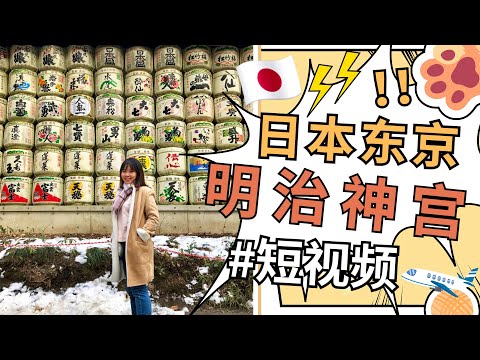 日本东京自由行2021:东京最大神社明治神宫旅游攻略！#shorts