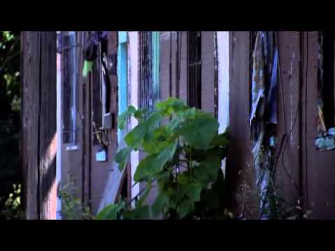 Histoire de gangs Philadelphie