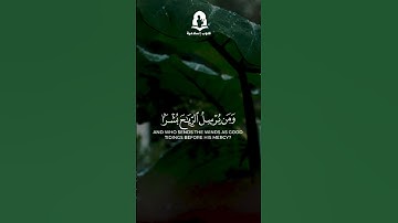سورة النمل ألاية 63 |  ياسر الدوسري
