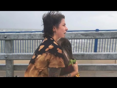 Woman Rescues Stranded