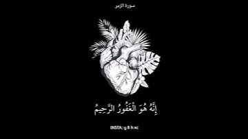 سوره الزمر🎥:أرح قلبك ♥️