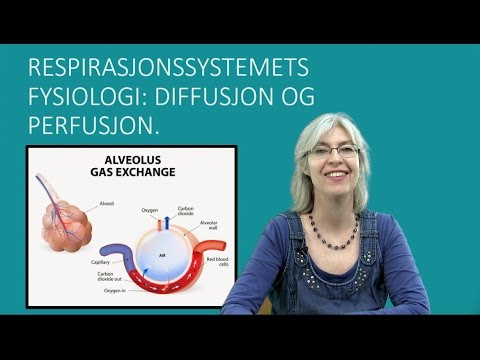 Video: Forskjellen Mellom Perfusjon Og Diffusjon