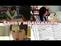 Study motivation  fly away