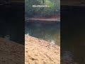#travel #solotravel #pachmarhi #mansoon #shortsvideo #goodfeed #feedshorts #vlogger #bloger