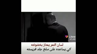 سالو الديب ليش رقبتك سميك /قال احسن مايكون مخي  سميك