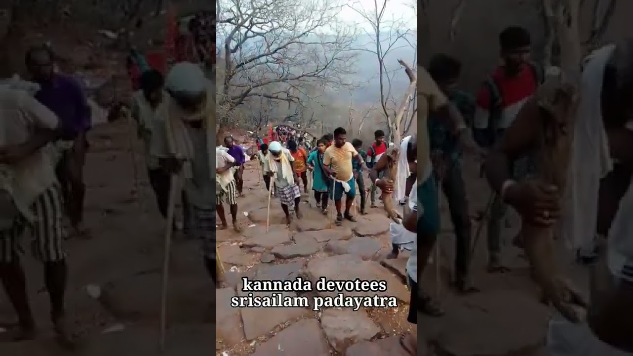 srisailam padayatra Kannada devotes