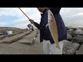 5月のキス釣り の動画、YouTube動画。