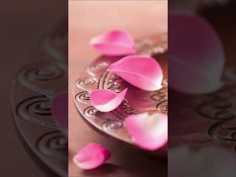 افانت تهدي العمي ولو كانوا لا يبصرون Quran اكسبلور المصحف Flowers