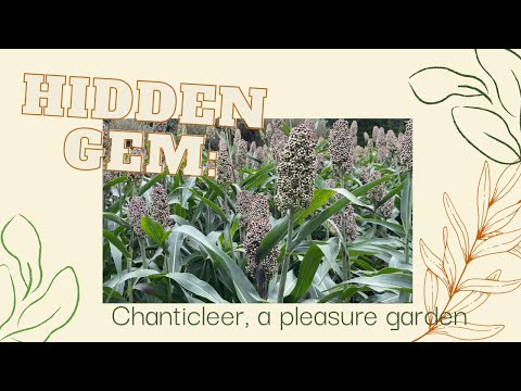 Hidden Gem Chanticleer A Pleasure Garden 