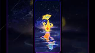 The Starry Night Sky Animated