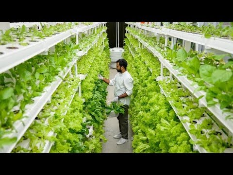 UrbanKisaan.com | Hydroponic Farming in India