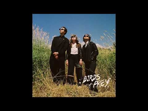 Birds of Prey - Ludic (Official Audio)