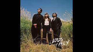 Birds of Prey - Ludic (Official Audio)