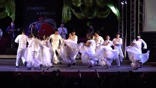 Video thumbnail of "Venezuelan folk dance: Alma llanera"