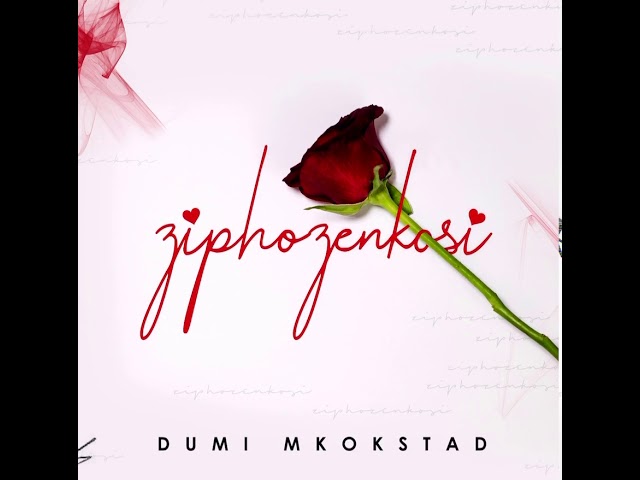 Dumi Mkokstad - Ziphozenkosi (official Audio)