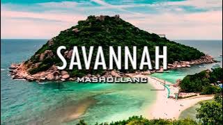 Lagu Dj Tiktok Slow Remix [ SAVANNAH ]