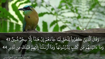 الصفحة 433 سورة سبأ القارئ المهندس أحمد فايز الحراسيس