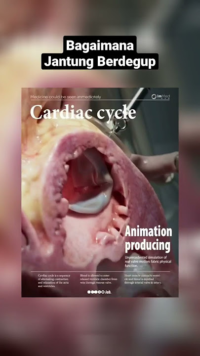 Bagaimana Jantung Berdegup #howitworks #heartbeat