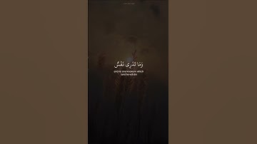 وما تدري نفسا ماذا تكسب غدآ القارئ إسلام صبحي