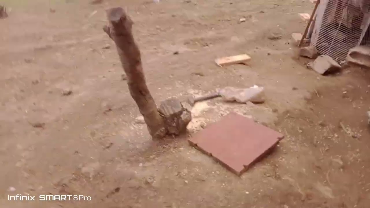 ٢٢ فبراير ٢٠٢٦