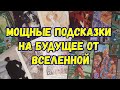 Выбери карту 🔮 МОЩНЫЕ ПОДСКАЗКИ НА БУДУЩЕЕ ОТ ВСЕЛЕННОЙ 🔮 ГАДАНИЕ ОНЛАЙН НА ТАРО