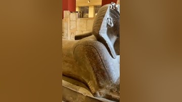 Pharaoh Sphinx: The Enigmatic Guardian of Ancient Egypt #mummy #momia #egyptiangods
