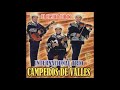 Internacional Trio Camperos de Valles - El Cielito Lindo (Disco Completo)