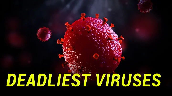 Top 10 Deadliest Viruses on Earth - DayDayNews