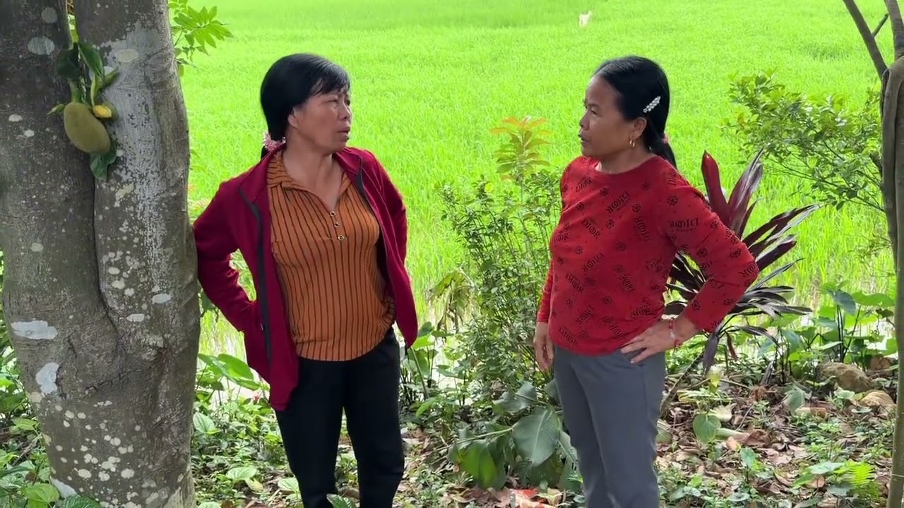 Toang Rồi Mụ Liên Gọi Người Tính Vào Nhà Ông Hiếu Ăn Cắp Trong Lúc Ông Hiếu Đi Hà Nội 