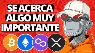 ✅BLACKROCK RECOMIENDA COMPRAR?Noticias Criptomonedas (HOY)Bitcoin Polygon XRP