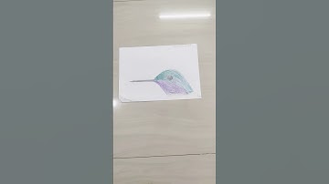 Drawing Of Humming Bird #shortvideo #shorts #hummingbird #drawing #drawingbirds #yt #ytshort #video