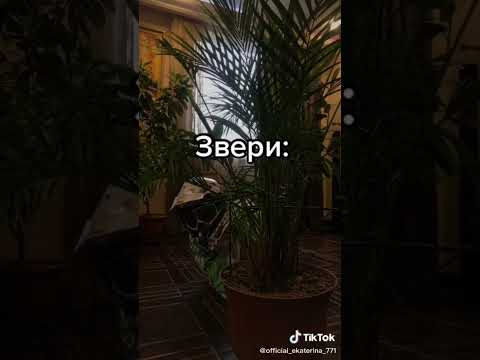 Типичные эндуристы: #redbull #dirtbike #motokross #automobile #bse #bike #motovlog #snow #jazzmoto