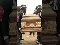 &quot;Got your Back&quot; | Coffin Dance with Animals #shorts