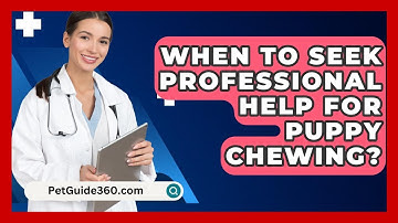When To Seek Professional Help For Puppy Chewing? - PetGuide360.com
