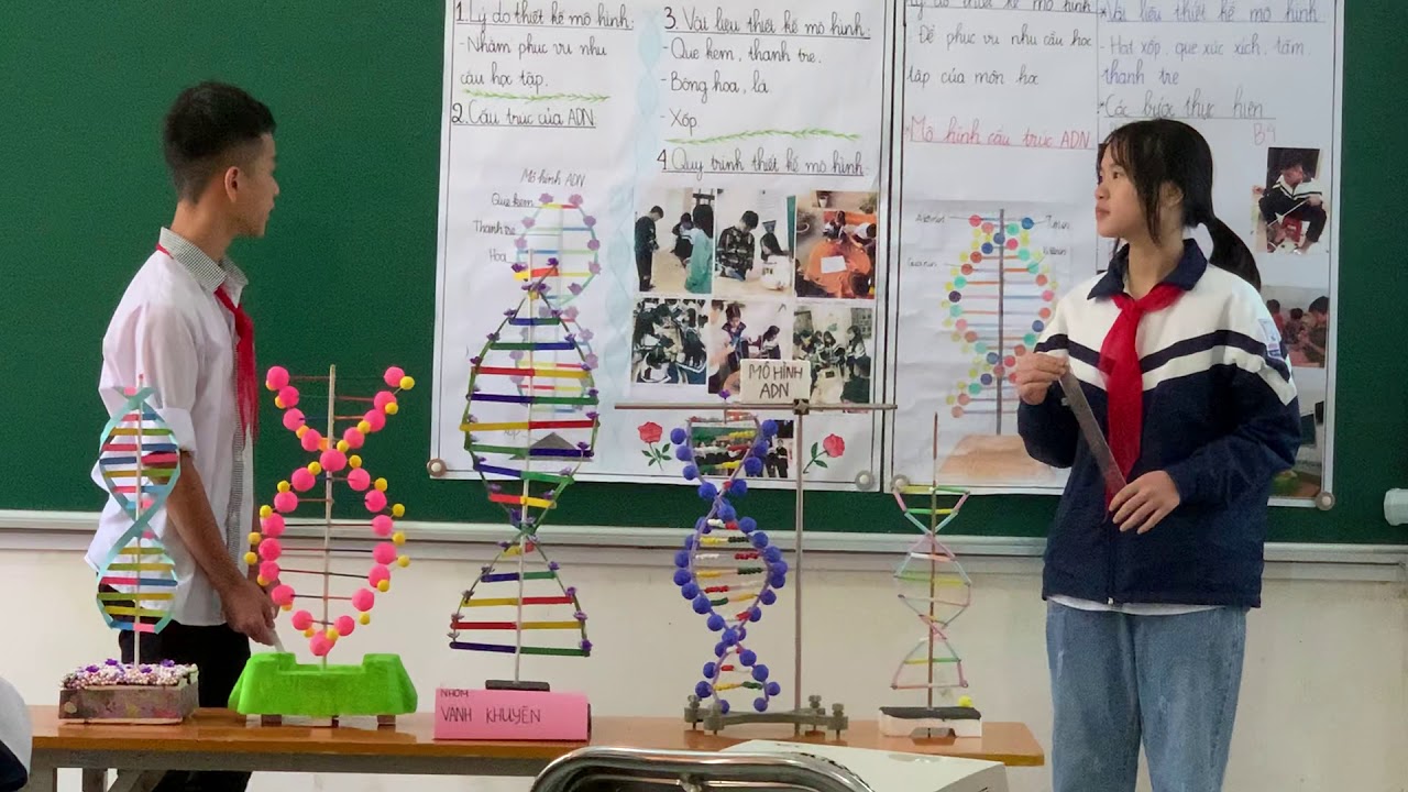 Mô hình cấu trúc phân tử DNA