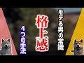 【新常識】モテる男の格上感を出す4つの手法
