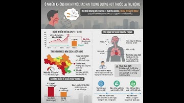 🔥 Bụi Mịn PM2.5 Hà Nội: Nguy Hiểm Tương Đương "Hút 2 Điếu Thuốc Lá Mỗi Ngày"!