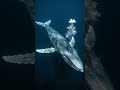 Le CŒUR le plus LENT du monde ! 🐋