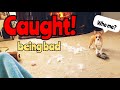 Cheddar Being Bad... Again!