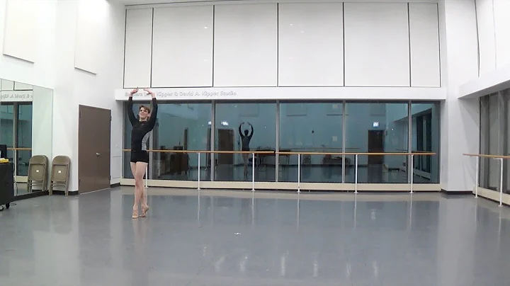 David Turnell-Class Excerpts