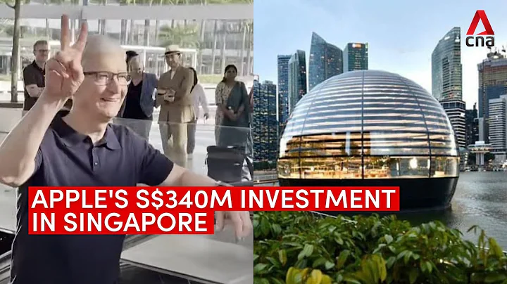 Apple's S$340m investment will help Singapore develop as regional tech hub: Analysts - DayDayNews