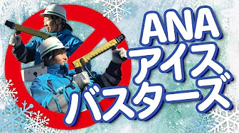 image-【ANA働く車】真冬の飛行機の雪対策！〜成田空港グランドハンドリングのお仕事紹介〜