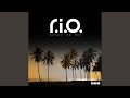 Rio megamix continuous dj mix