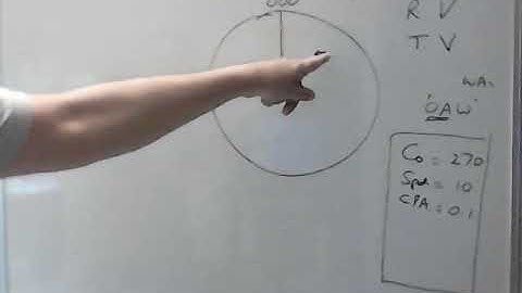 relative vector / true vector(arpa)