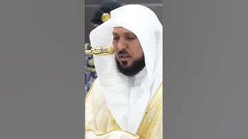 سورة الزمر | الشيخ #ماهر_المعيقلي