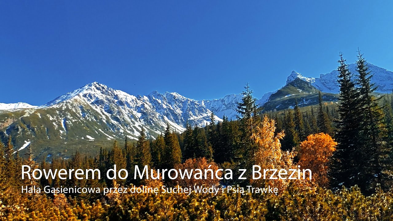 Rowerem do Murowańca z Brzezin. Hala Gąsienicowa przez dolinę Suchej Wody i Psią Trawkę.