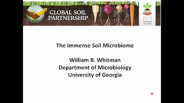 The Immense Soil Microbiome