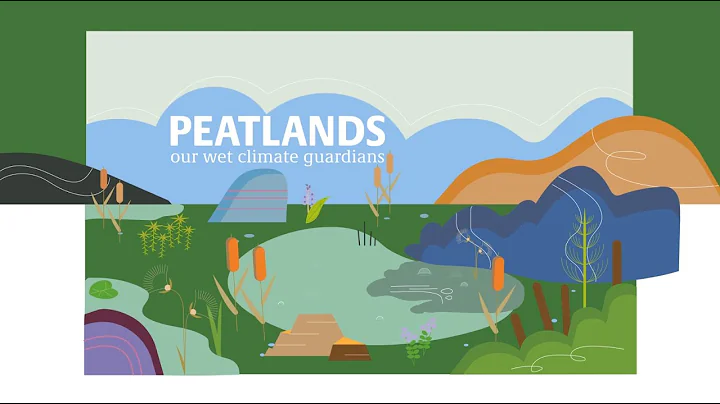 Peatlands - our wet climate guiardians