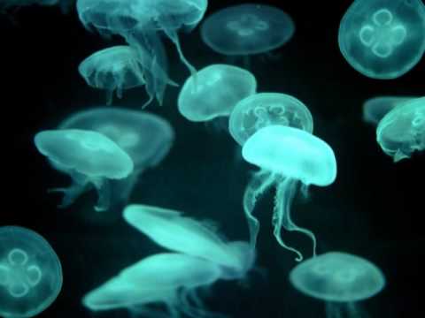 Another world - Chemical Brothers